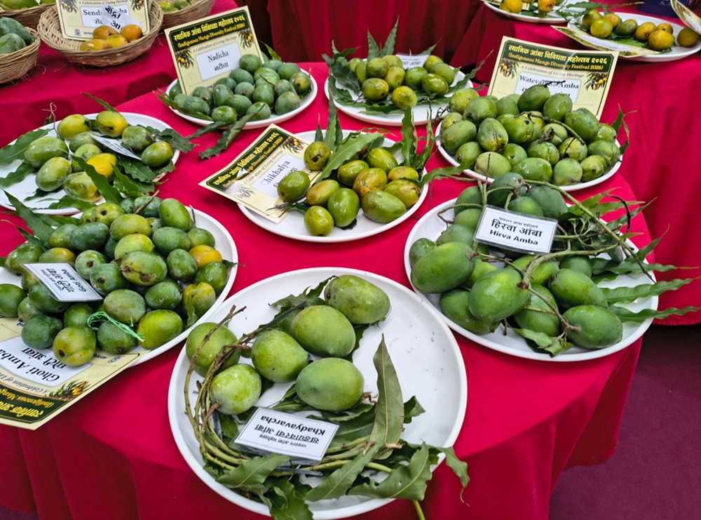 Mango – Unity in Diversity