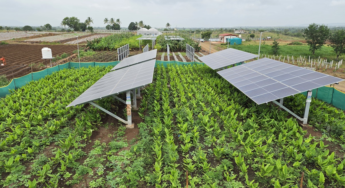 BAIF’s Agrivoltaics Multi-Model